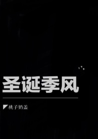 圣诞show